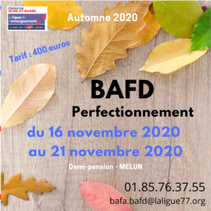 BAFD perf - nov 2020