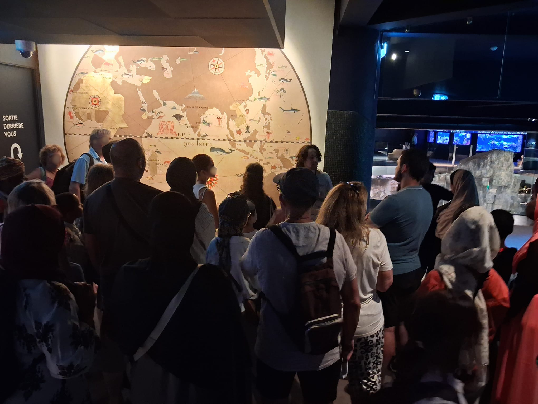 7. l'été au palais - aquarium 1