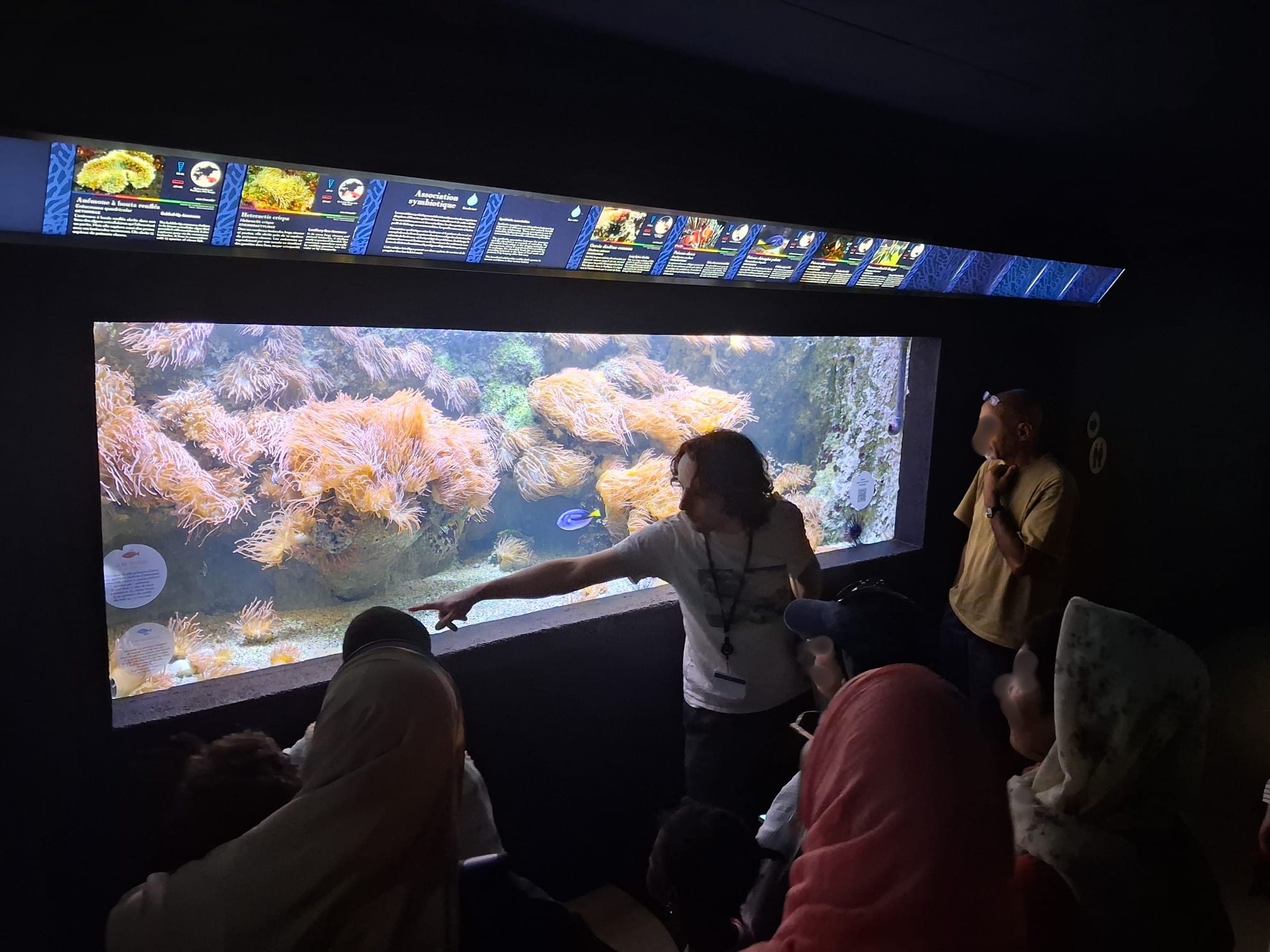 8. l'été au palais - aquarium 2