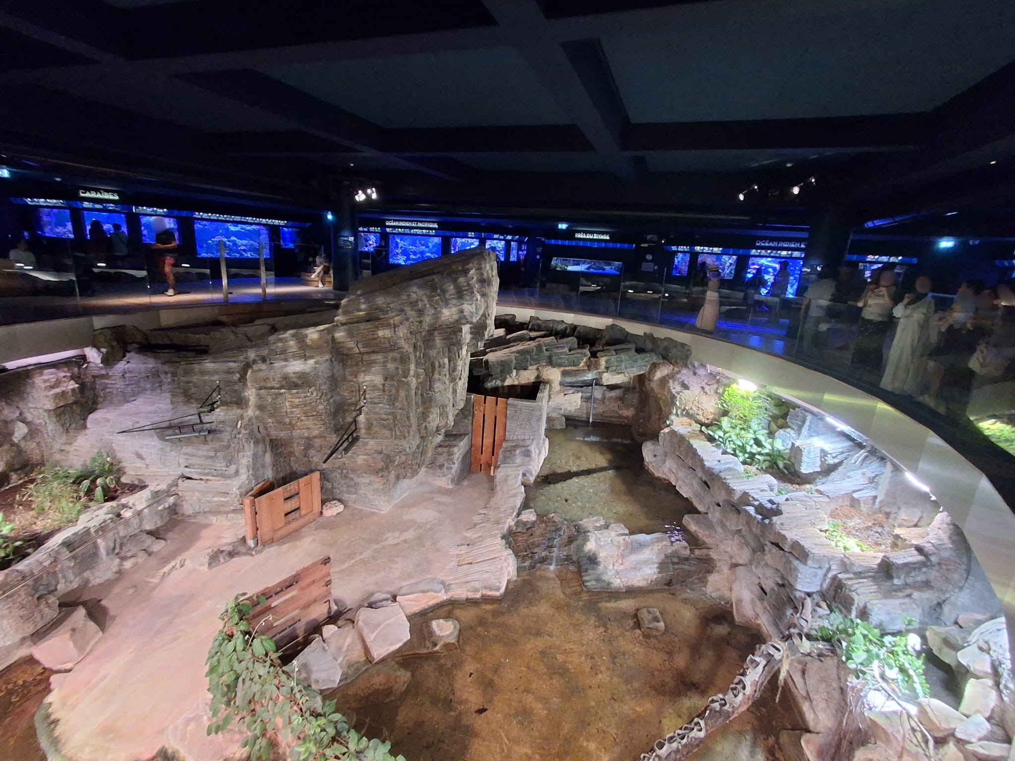 9. l'été au palais - aquarium 3